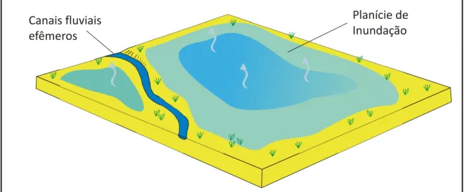 Figura 4.20 – Bloco diagrama de uma planície de inundação distal, cenário deposicional idealizado para a  Formação  Brejo  Santo,  onde  se  visualizam  os  elementos  arquiteturais  de  planície  aluvial  e  de  canais  fluviais efêmeros (modificado de Ga