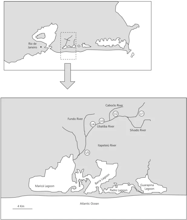 Fig. 1 — Sketch representing the Ubatiba fluvial system showing the sampling localities where the electrofishing method was used