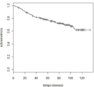 Figura 2.1: Kaplan-Meier dos dados referentes ao tempo at´e a recidiva do cˆancer de mama.