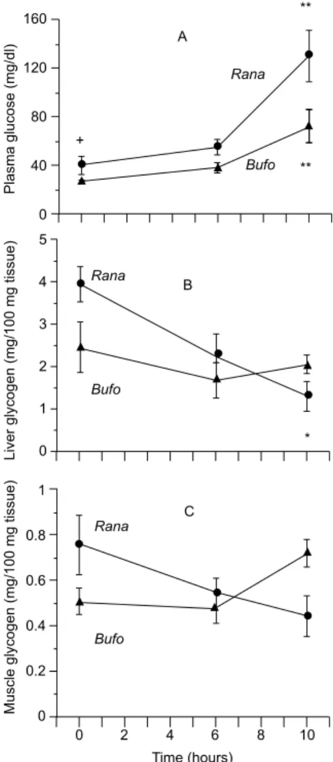 Fig. 1 — Effect of freezing on blood glucose (panel A), liver glycogen (panel B) and muscle glycogen (panel C) of toads and frogs