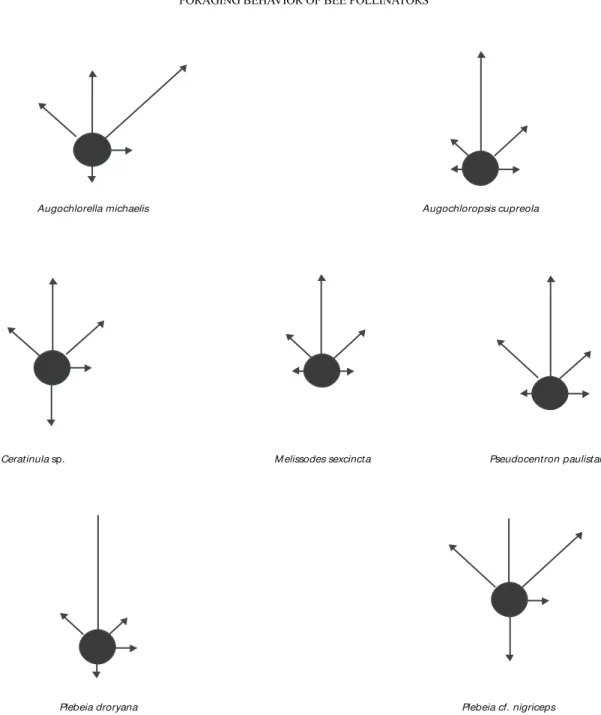 Fig. 1 — Frequency distribution of departure angles from flowers, for each species. Bars indicate direction (departure angles) and observed frequency (0.5 cm = 10%).