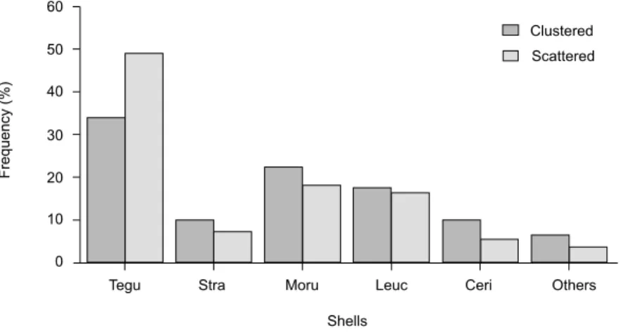 Fig. 1 — Shell utilization by clustered and scattered individuals of C. antillensis in the intertidal region of Grande Beach, São Sebastião, Southeastern Brazil