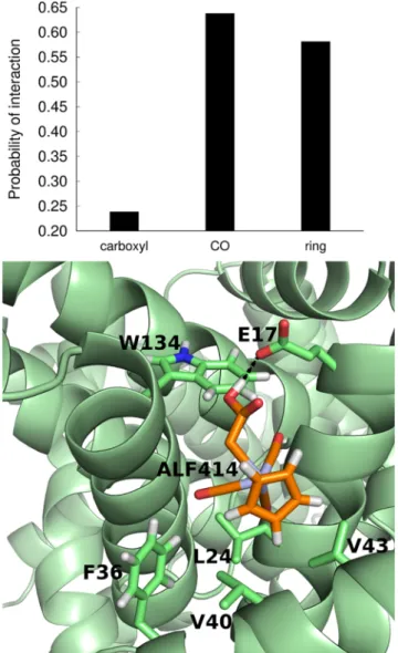 Fig 7. (A) Probability of interaction of the three moieties of ALF414 with BSA (B) Snapshot of replicate 7, where ALF414 is interacting with several residues, including Trp 134 , through hydrophobic contacts and hydrogen bonding.