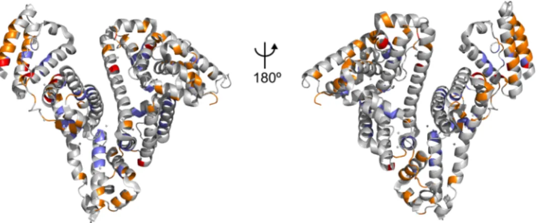 Fig 8. Comparison of the binding sites of ALF414 to BSA with the binding sites of hexadecanoic acid to HSA