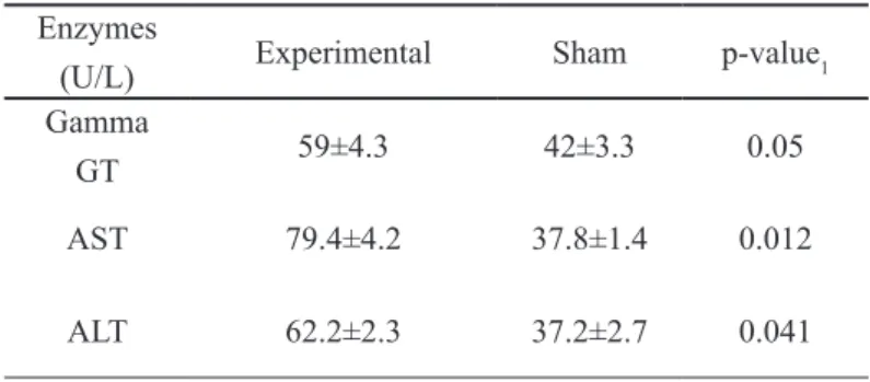 FIGURE 1 –  Images of liver-cells used for quantification. A and B, sham 