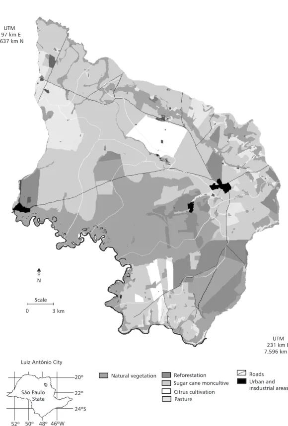 Fig. 4 — Thematic maps with main types of soil use obtained from LANDSAT TM 5 image of the study area.