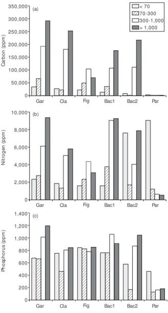 Fig. 2 — Nutrient content of the different-sized sediment particles in different habitats of the upper Paraná River flood- flood-plain
