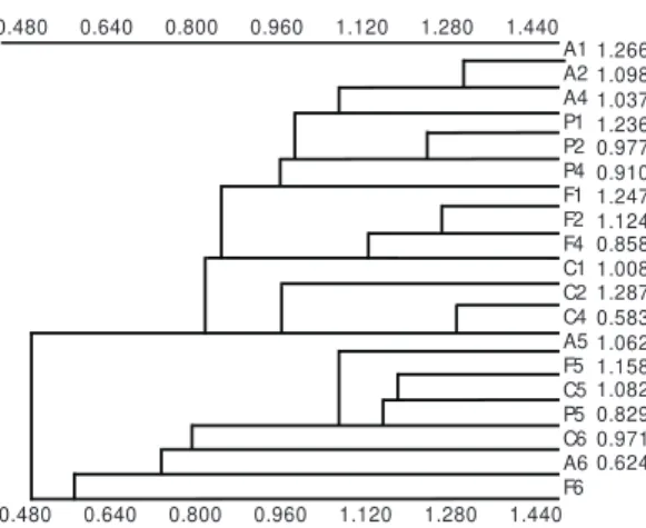 Fig. 5 — Cluster Analysis based on the different substrate type (A – sand; F – litter in pool areas; P – stones; C –  lit-ter in riffle areas) using the similarity index of Morisita.