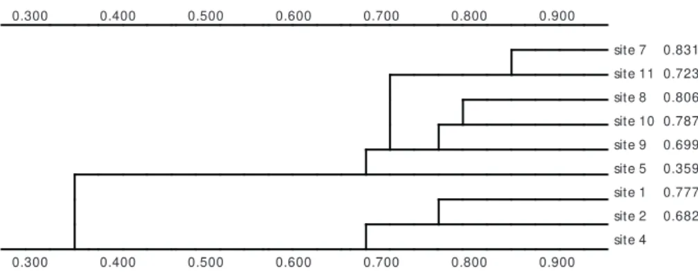 Fig. 8 — Cluster Analysis based on the total matrices of all stations sampled in the Macaé River watershed.