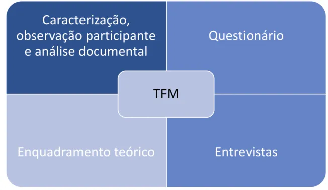 FIGURA 18  Origem do TFM 