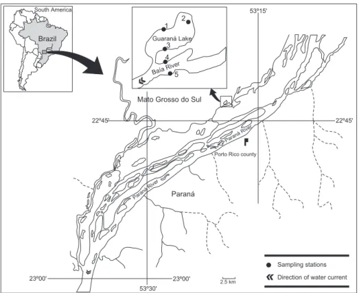 Fig. 1 — Location of the sampling stations in Guaraná Lake (1, 2, 3) and the Baía River (4, 5).