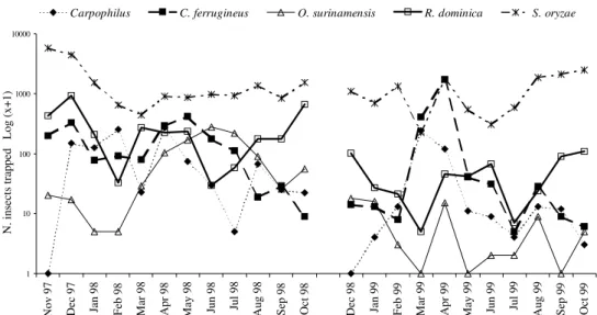 Fig. 4. Temporal dynamic pattern of captures of Carpophilus spp., C. ferrugineus, O. surinamensis, R