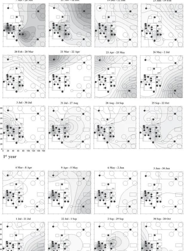Fig. 9. Spatial distribution of S. oryzae in the paddy rice storage facility, during the I year survey (7 November - 22 October) and the II year survey (4 March - 20 October)