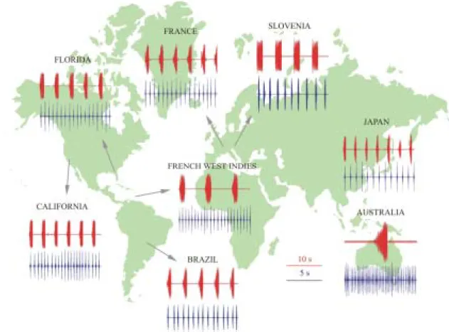 Figure 4. Differences in temporal characteristics of vibrational songs among geographically isolated populations of N.