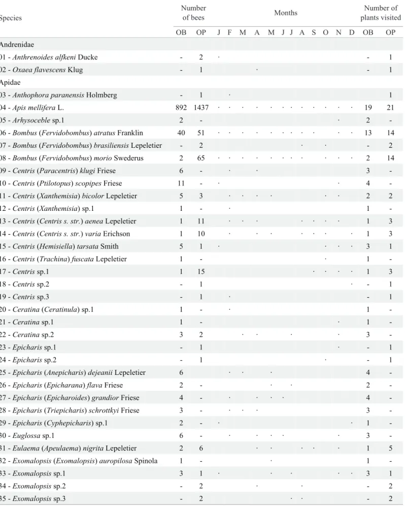 Table 1. Bee species and their abundance and seasonal distribution, and number of plants visited at the “Canga” area and the Ouro Branco Mountains