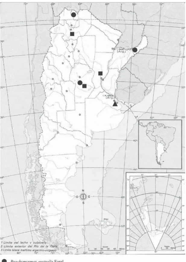 Fig. 2. Distribución de las especies B. aphidicola, B. australis y B. constrictus en Argentina.