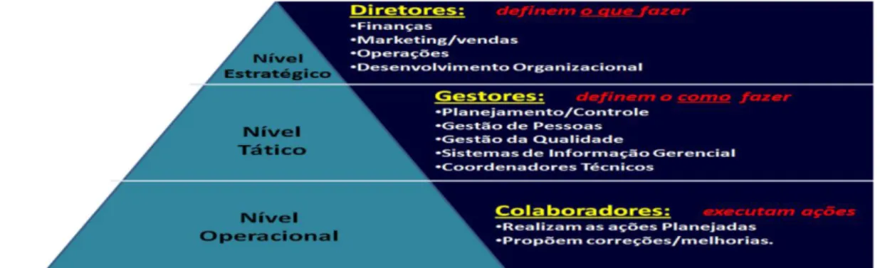 Figura n.º 2.1: Níveis Organizacionais  Fonte: Chiavenato (2009:29) 