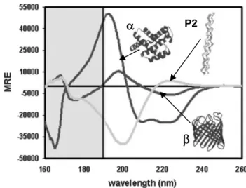 Figure 3.2. CD spectra of α-helix, β-sheet and poliproline II deconvoluted from a reference protein set