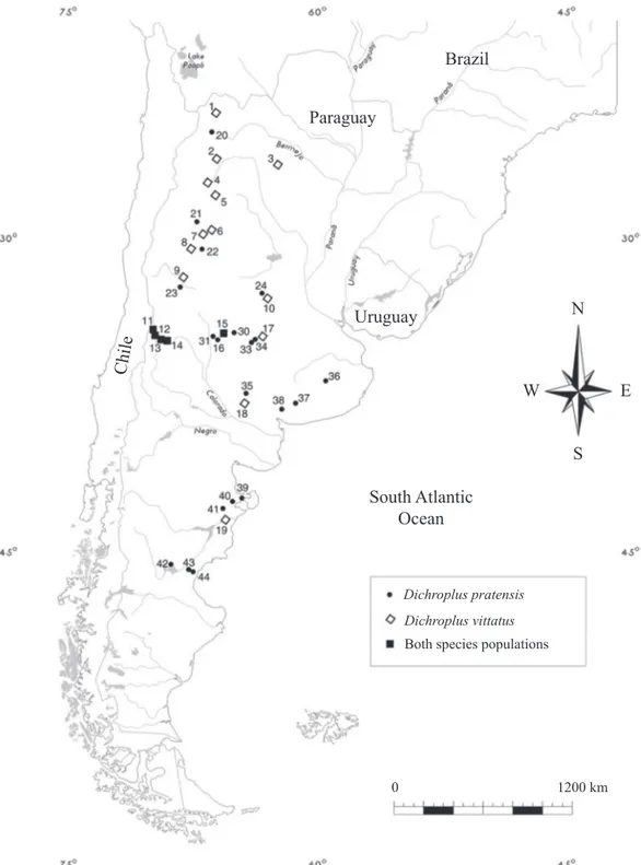 Fig. 1. Geographic distribution of the Dichroplus pratensis and D. vittatus samples analysed in this paper