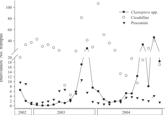 Fig. 4. Fluctuación mensual (2003-2004) de los grupos de hemípteros potenciales vectores de X