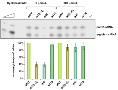 Figure  II.2.  The  α α α α 22(–C)  mRNA  is  committed  to  nonsense-mediated  decay