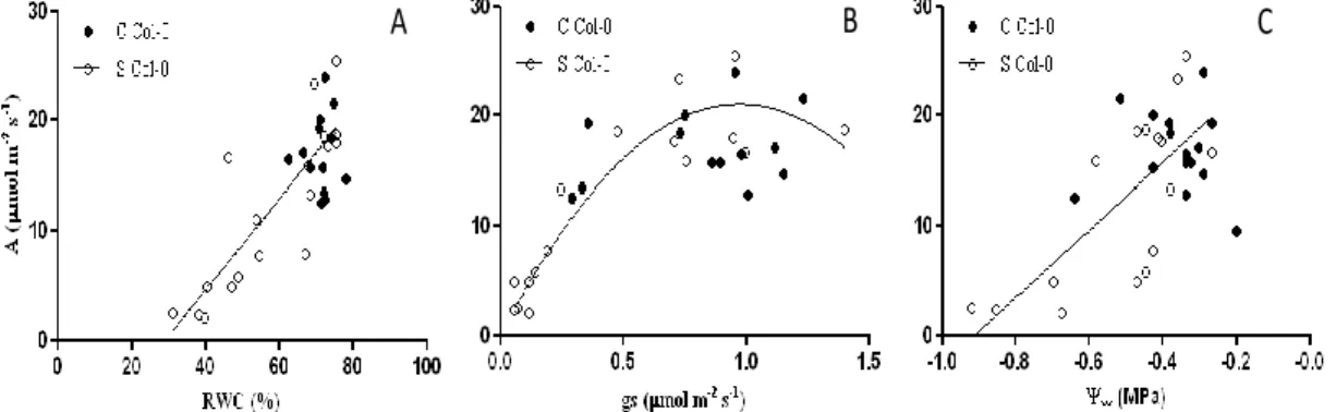 Fig. 1. Relation between A and RWC (A); gs (B) and Ψ w  (C) in Col-0 Arabidopsis under control (C) and stress (S) conditions