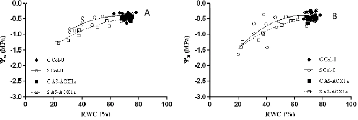 Fig. 4. Relation between Ψ w  (A), Ψ π  (B) and RWC in Col-0 and AS-AOX1a under control and stress conditions