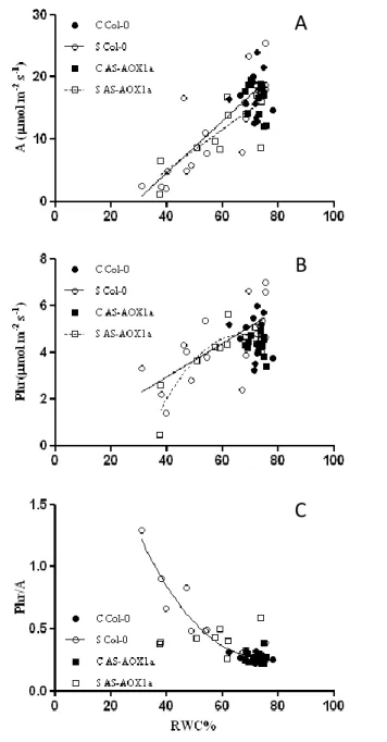 Fig.  7.  Relation  between  A  (A);  Phr  (B);  Phr/A  (C)  and  RWC  in  Col-0  and  AS-AOX1a  plants  under  control  and  stress  conditions