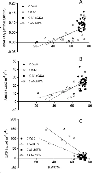 Fig. 8. A - Relation  between Φ (A); Amax (B); LCP (C) and RWC in Col-0 and AS-AOX1a plants  under control and stress  conditions