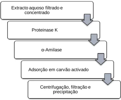 Figura 2.1. Processo de purificação do ulvano de acordo com Costa et al., 2012. 