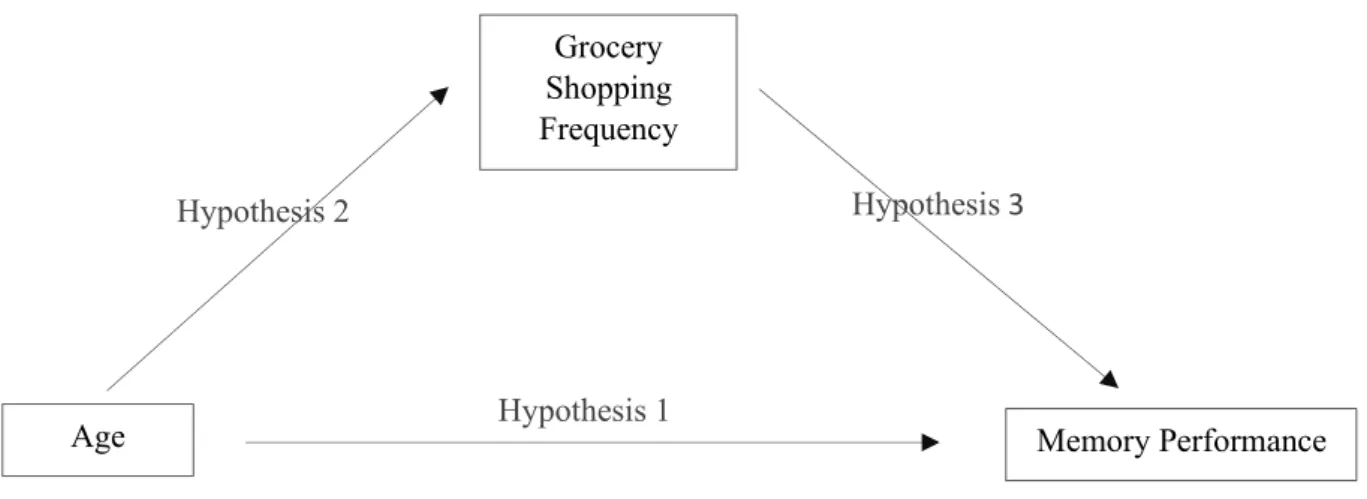 Figure 1 - Model and Hypothesis 