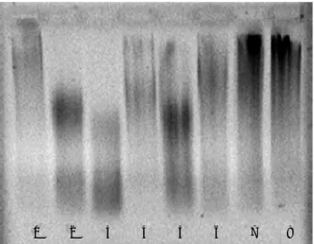 Figure 1. Effect of each standard, at various concentrations, upon DNA oxidative damage (induced by Cu(II)-ascorbic acid) and protection, assessed by agarose gel electrophoresis
