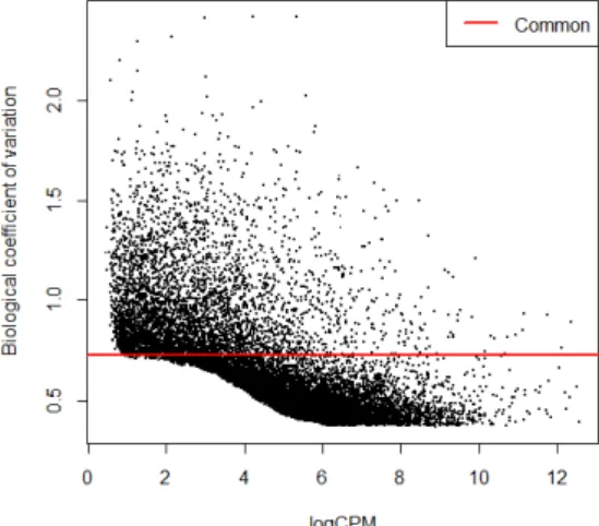 Figure 3.6: Normalization with edgeR and DE analysis with edgeR – plot for the dispersion estimates obtained with tagwise dispersion (black dots) and common dispersion, 0.5260142, (represented with the red line).