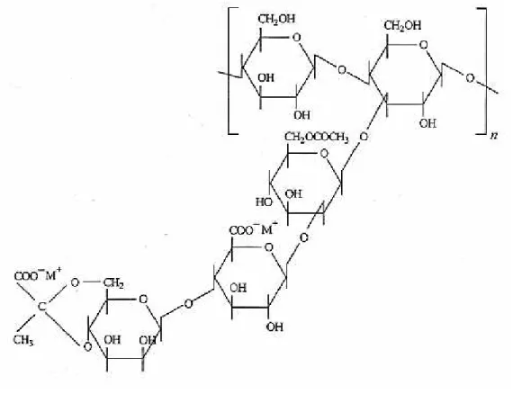 Figura 2 - Estrutura química da goma xantana 