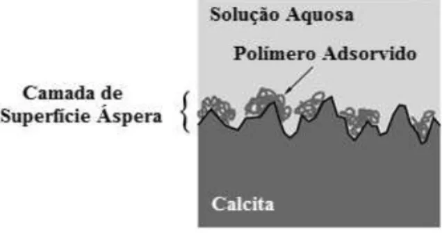 Figura 9 - Esquema representativo da adsorção de cadeias poliméricas na superfície da calcita.