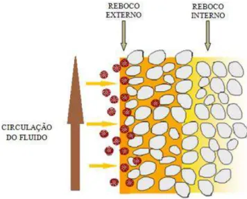 Figura 11 - Formação do reboco interno e externo no processo de filtração em uma rocha permeável 