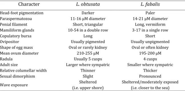 Table 1. Distinctive characters between Littorina obtusata and L. fabalis 