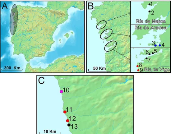 Table 2. Sampling information for the IP. N is  the  number  of  sampled  individuals  (918 in  total)