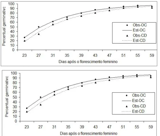 Figura 1. Percentagem de plântulas normais obtidas no teste de germinação das sementes de dois híbridos, em  função da época de amostragem, na primeira época de semeadura (E1) e na segunda época de semeadura (E2).