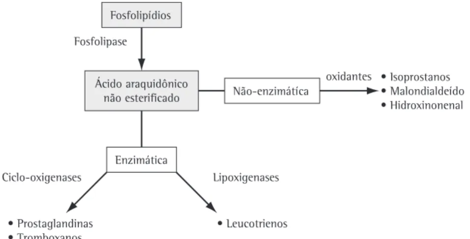 Figura 3 - O ácido araquidônico pode ser metabolizado por via enzimática, através das ciclo-oxigenases e das 