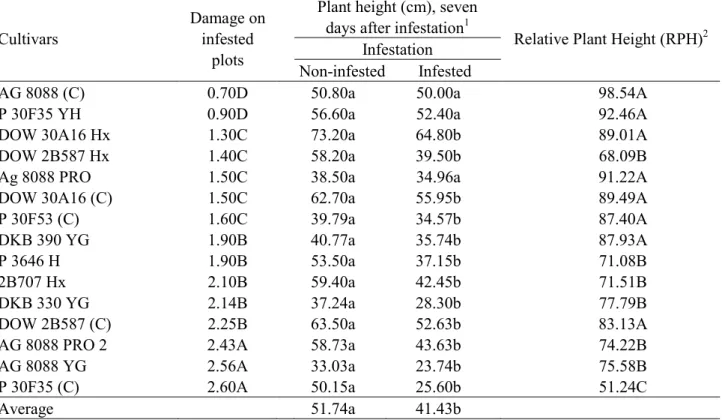 Table 1. Response of Bt and conventional (C) maize hybrids to the injury of Dichelops melacanthus in  greenhouse test: damage and plant height 1 .