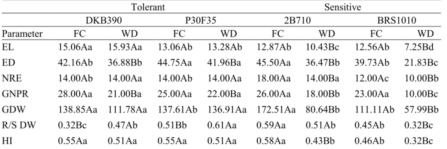 Table 1.  Agronomic  production  and  root/shoot  ratio  dry  weight  obtained  in  four  maize  genotypes  with  contrasting characteristics for  drought tolerance submitted  to different water levels in the soil during  pre-flowering.