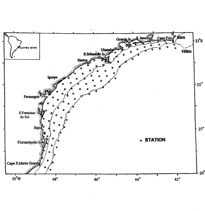 Fig. I. Standard sampling statiol1sduring nine survey cruises in the southeast Brazilian Bight.