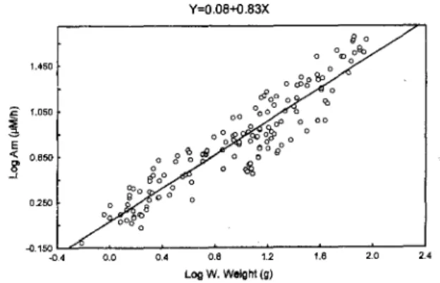 Fig. I. Oxygen consumption (Con!!) in relation to wet weight (W. Weight) of P. pune/a/us, at 20°C.