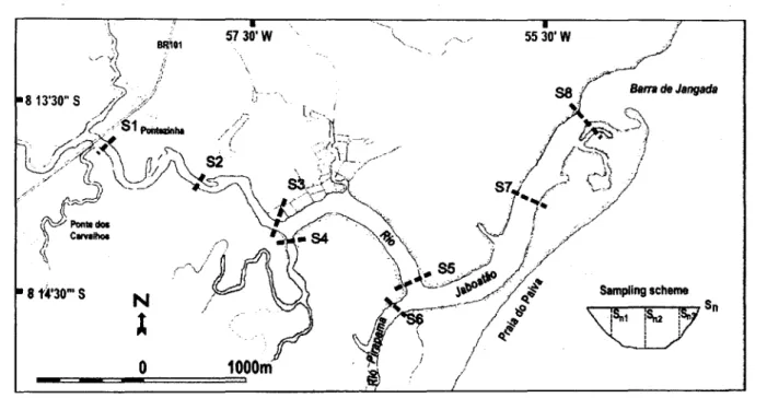 Figo 10Study area and detail of the sampling cross-sections and stationso
