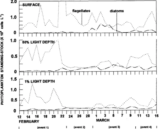 Fig. 6. Day-to-day variations in the most abundant taxooomic groups of the phytoplankton at the sampling station (ftom Francos, 1996).