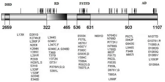 Figure  1.7:  Described  C.  glabrata  PDR1  gain-of-function  mutations.  The  domains  shown  were  based  on  the  homology  between S
