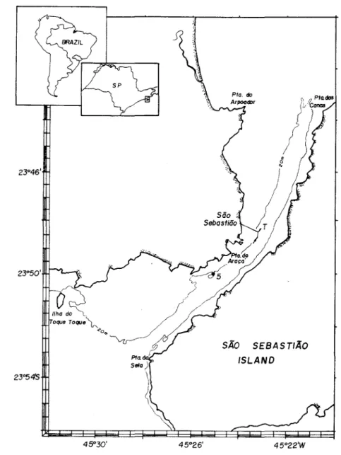 Fig. 1. São Sebastião Channel and location ofthe station where the data were collected.
