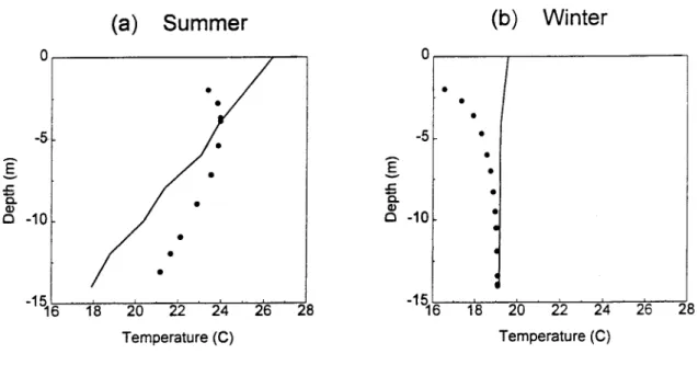 Fig. 3. Ambient ocean water temperature (continuous line) and near field plume centerline temperature (broken line), in °C, as a function of depth, in meters