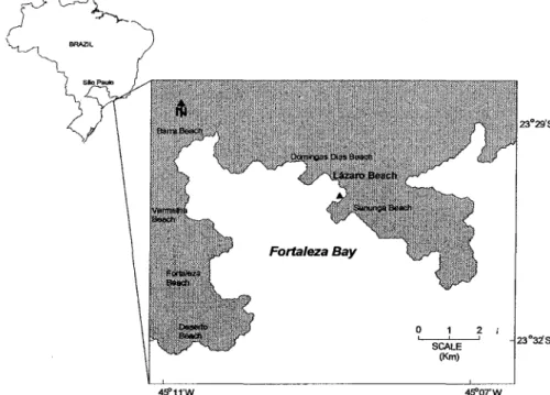 Fig. 1. Map ofLázaro Beach, Ubatuba, SP, showing study site ( ).